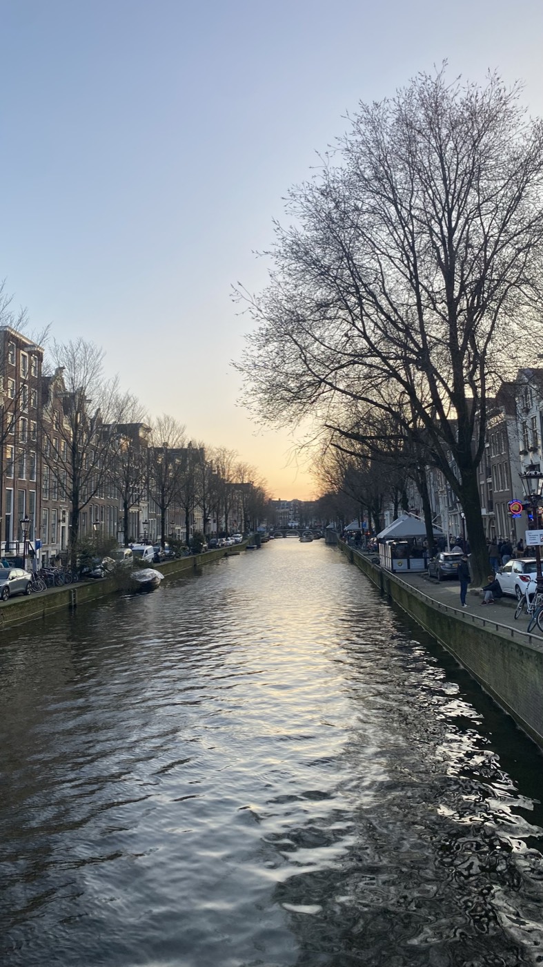 Canal de Amesterdão com árvores ao pôr do sol