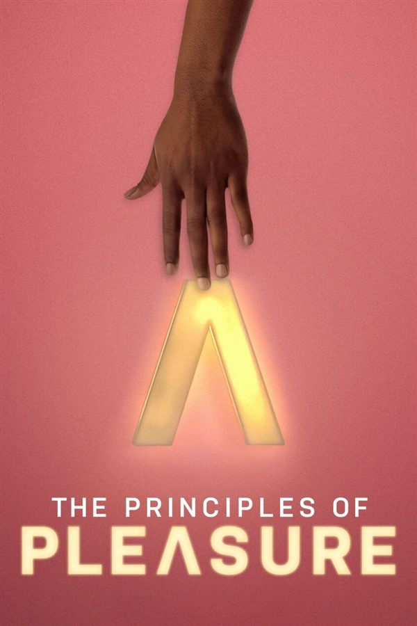 Cartaz de The Principles of Pleasure