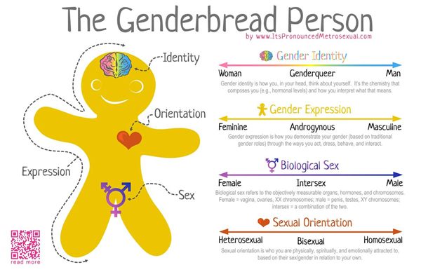 Infografia The Genderbread Person