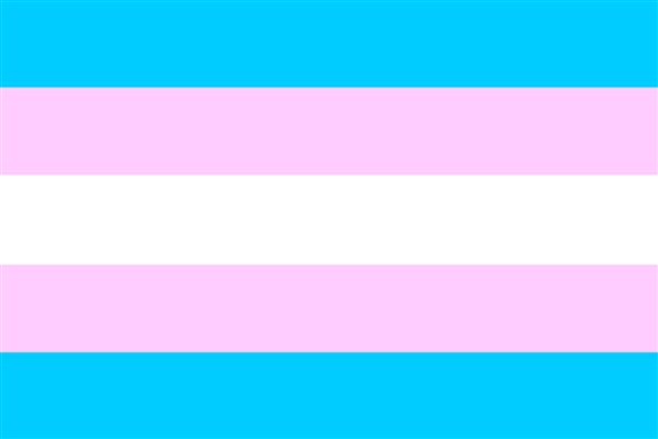 Pré-visualização do site Trans Student Educational Resources